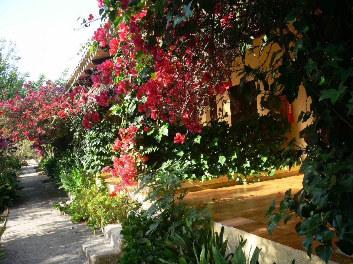 Finca Hotel Rural Predio Son Serra Can Picafort  Dış mekan fotoğraf